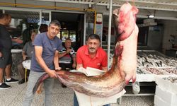 Samsun'da baraj gölünde 94 kilogramlık yayın balığı yakalandı