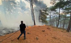 Yıldırım düşmesi sonucu örtü yangını çıktı