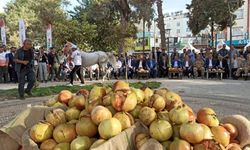 "Suruç 4. Nar Festivali" başladı