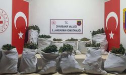 Diyarbakır'da 240 kilogram esrar yakalandı