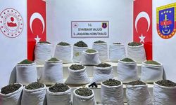 Diyarbakır'ın Lice ilçesinde 914 kilo uyuşturucu ele geçirildi