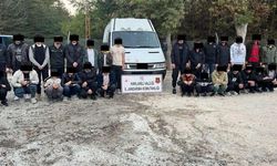 Kırklareli'de 739 kaçak göçmen yakalandı