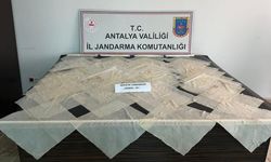 Piyasa değeri 2 milyon TL olan bonzai ele geçirildi