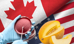 ABD ve Kanada’da salmonella salgını: 8 ölü