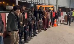 Osmaniye'de 12 kaçak göçmen yakalandı 3 organizatör tutuklandı