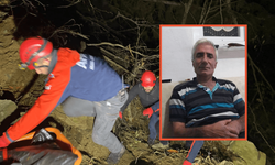 Artvin'de orman işçisi uçuruma yuvarlanarak hayatını kaybetti