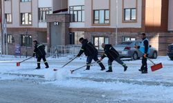 3 kentte soğukla mücadele... Erzurum, Kars ve Ardahan buz tuttu