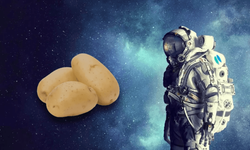 Belarus hükümeti uzay araştırmaları fonu'nun patates olacağını duyurdu