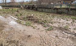 Kırklareli'nde sağanak: Evler, iş yerleri ve tarım arazileri zarar gördü