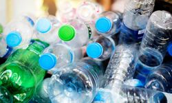 Pet şişelerle ilgili yeni gelişme! Yüz kat daha fazla plastik parçaya rastlandı