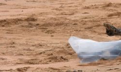 Alanya'da belden yukarısı olmayan çocuk cesedi bulundu