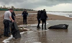 Antalya Valisi Şahin'den kıyıya vuran cesetlere ilişkin açıklama: Sebebi seri katil değil, soykırım savaşları