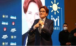Akşener'den CHP'ye DEM Parti tepkisi