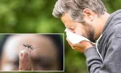 DSÖ o hastalıkla ilgili korkunç rakamı duyurdu: Böceklerden bulaşıyor binlerce kişiyi öldürdü