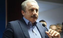 İdam cezası Gülen ve Öcalan'ı kapsayacak mı?