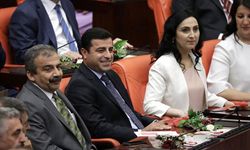 HDP'li vekillerin işledikleri suçlar