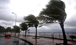 Meteoroloji kuzey ve batıda kuvvetli rüzgar uyarısı yaptı