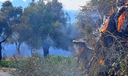 Muğla'da orman yangını kontrol altına alındı