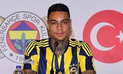 Fenerbahçe'de Gregory van der Wiel gidiyor