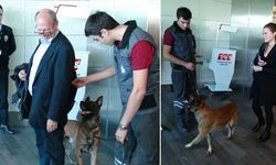 Türkleri köpekle arayan Avusturya'ya cevap geldi!