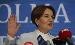 İşte Meral Akşener'in kuracağı partinin logosu