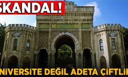 İstanbul Üniversitesi'nde skandal!