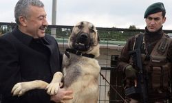 Emniyette 'Kangal' ve 'Akbaş' dönemi