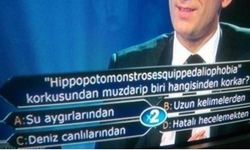 Hippopotomonstrosesquippedaliophobia korkusu Milyoner'e damga vurdu