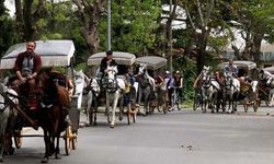 Büyükada'da dev operasyon