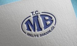 Maliye Bakanlığından 2B ve tarım arazileri için uyarı