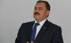 Bakan Eroğlu: Petshoplarda hayvan satışı yasaklanacak