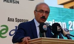 "Türkiye 2017 yılında yüzde 4.4'ün üzerinde büyüyecek"