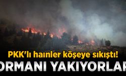 PKK'lı hainler köşeye sıkıştı! Ormanı yakıyorlar