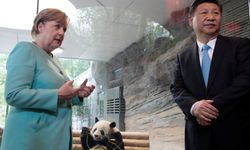 Merkel ve Şi'den 'panda diplomasisi'