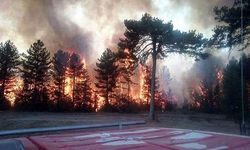 Bolu'da korkutan yangın... Evler boşaltıldı