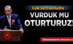 Erdoğan: Vurduk mu oturturuz!