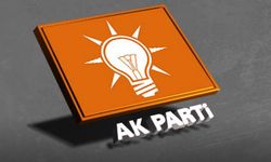 AK Parti'de sürpriz aday adayı