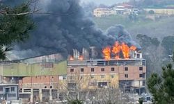Beykoz'da fabrika yangını