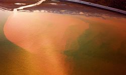 Van Gölü kahverengiye boyandı! Sebebi ise...
