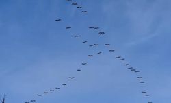 Gökyüzünde pelikanlar görsel şölen oluşturdu