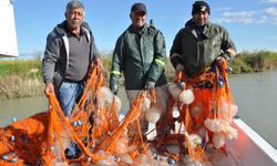 Akdeniz'de balıkçılar isyanda! Ağlarına balıktan çok ölü denizanası takılıyor