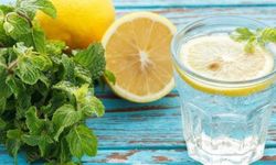 Uyarı yapıldı! 'Pestisitli limonlar gümrükten geri döndü