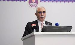Kadir Özkaya yeniden AYM Başkanvekilliğine seçildi
