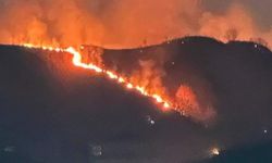 Trabzon'da orman yangını çıktı