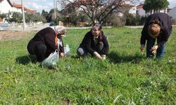 Balıkesir’de ot festivali düzenlenmesi istediler