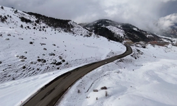 Karla kaplanan Erzurum'da soğuk hava hakim