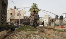 İsrail, Gazze'de bulunan tarım arazilerinin yüzde 90'ını tahrip etti