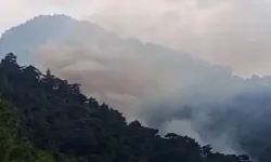 Antalya Kemer'deki orman yangını kontrol altında