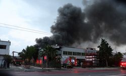 İzmir'de 2 fabrikayı alevler sardı! Gökyüzü siyaha büründü