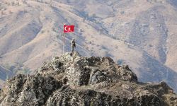 2 PKK’lı terörist Hudut Karakoluna teslim oldu
